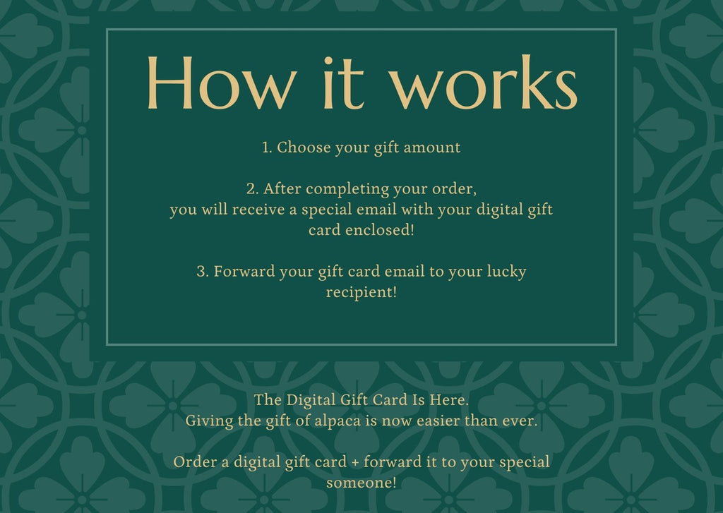 E-GIFT Card ANDINA OUTDOORS