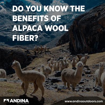 ¿Por qué lana de alpaca?